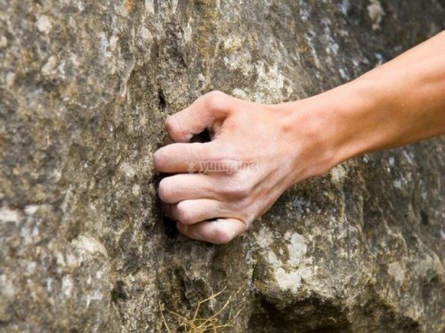 Agarrado fuertemente a la roca